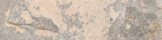 Chitwan Gris 3X12 Bullnose | Alita Tile