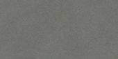 Concord 12X24F Umber Matte | Alita Tile