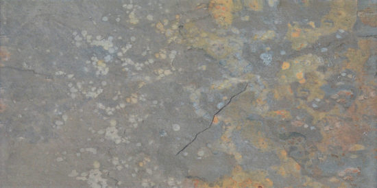 Copper 12x24 | Alita Tile