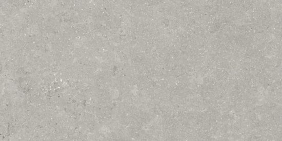 Denver 12X24F Graphite Matte | Alita Tile