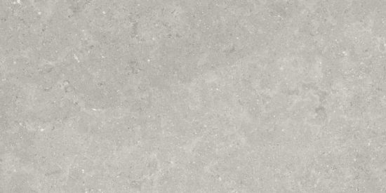 Denver 12X24F Graphite Matte | Alita Tile