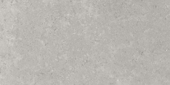 Denver 12X24F Graphite Matte | Alita Tile