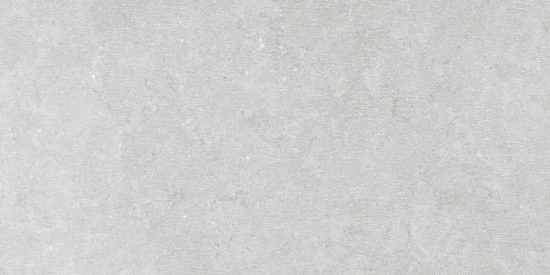 Denver 12X24F Platinum Matte | Alita Tile