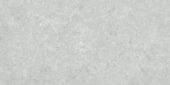 Denver 12X24F Platinum Matte | Alita Tile