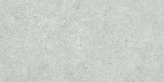 Denver 12X24F Platinum Matte | Alita Tile