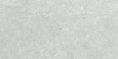 Denver 12X24F Platinum Matte | Alita Tile