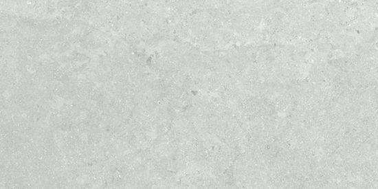 Denver 12X24F Platinum Matte | Alita Tile