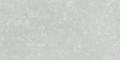 Denver 12X24F Platinum Matte | Alita Tile