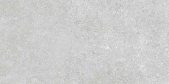 Denver 12X24F Platinum Matte | Alita Tile