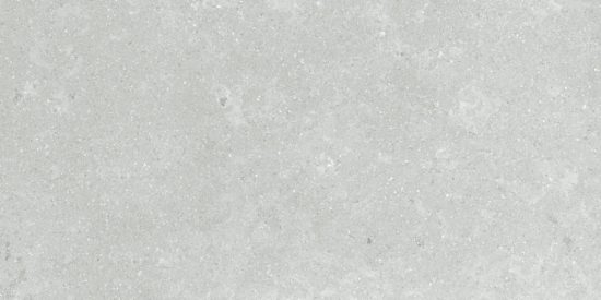Denver 12X24F Platinum Matte | Alita Tile