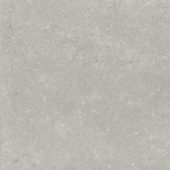 Denver 20X20F Graphite Matte | Alita Tile
