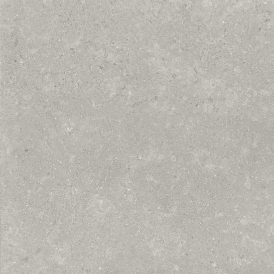 Denver 20X20F Graphite Matte | Alita Tile