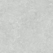 Denver 20X20F Platinum Matte | Alita Tile