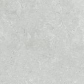 Denver 20X20F Platinum Matte | Alita Tile