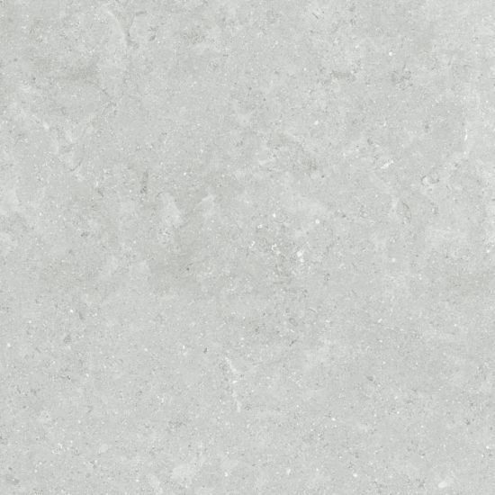 Denver 20X20F Platinum Matte | Alita Tile