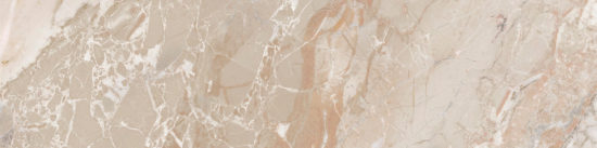 Dynasty Almond 3X12 Bullnose | Alita Tile