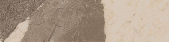 Dynasty Taupe 3X12 Bullnose | Alita Tile