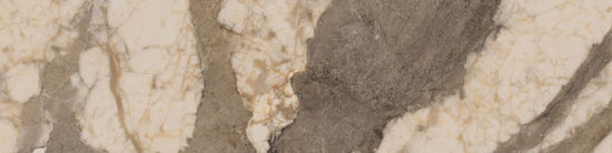 Dynasty Taupe 3X12 Bullnose | Alita Tile