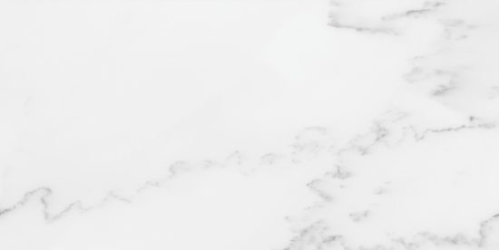Florence 12X24F Bianco Texture | Alita Tile