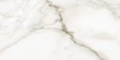 Florence 12X24F Calacatta Matte | Alita Tile