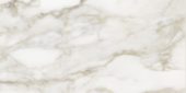 Florence 12X24F Calacatta Texture | Alita Tile