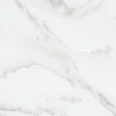 Florence 13X13F Bianco Matte | Alita Tile