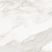 Florence 13X13F Calacatta Matte | Alita Tile