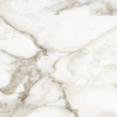 Florence 13X13F Calacatta Matte | Alita Tile