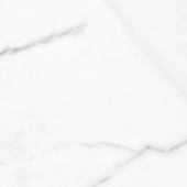 Florence 13X13F Statuario Matte | Alita Tile