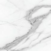 Florence 20X20F Statuario Matte | Alita Tile
