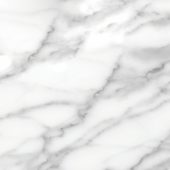 Florence 20X20F Statuario Matte | Alita Tile