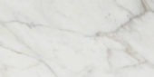 Golden Calacatta Matte 12X24 | Alita Tile