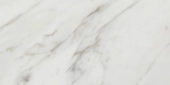 Golden Calacatta Matte 12X24 | Alita Tile
