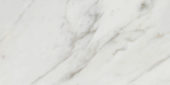 Golden Calacatta Polished 12X24 | Alita Tile