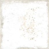 Jamaica White 5x5 | Alita Tile