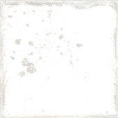 Jamaica White 5x5 | Alita Tile