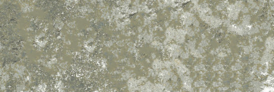 Madrid 3x9" Musgo | Alita Tile