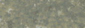 Madrid 3x9" Musgo | Alita Tile