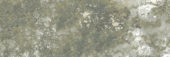 Madrid 3x9" Musgo | Alita Tile