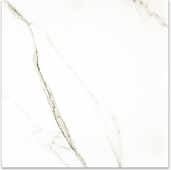 Matte Adoration 24X24 | Alita Tile