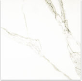 Matte Adoration 24X24 | Alita Tile