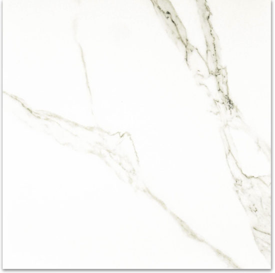 Matte Adoration 24X24 | Alita Tile
