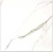Matte Adoration 24X24 | Alita Tile