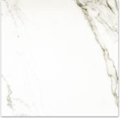 Matte Adoration 24X24 | Alita Tile