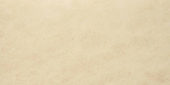 Matte Affection 16X32 | Alita Tile