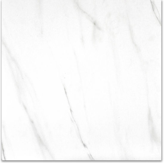 Matte Infatuation 24X24 | Alita Tile