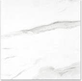 Matte Infatuation 24X24 | Alita Tile
