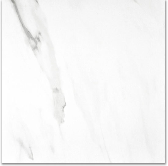 Matte Infatuation 24X24 | Alita Tile