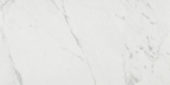 Milano Statuario Honed 12X24 | Alita Tile