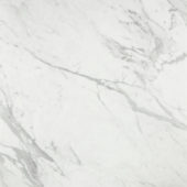Milano Statuario Honed 24X24 | Alita Tile